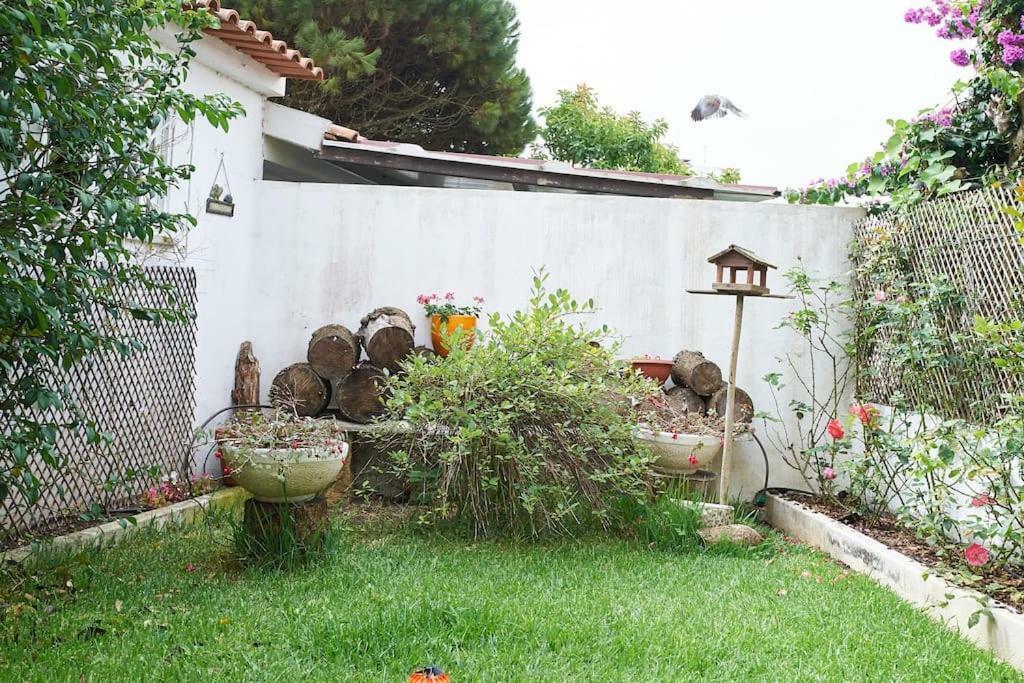 Beija-Flor House Villa Ribamar  Exterior photo